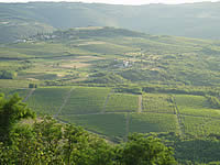 Istrian Landscape from Motovun